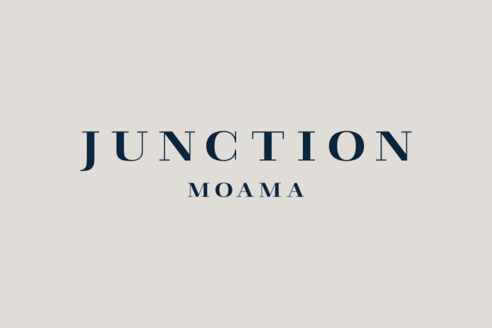 15-Junction-Moama-Logotype-Seesaw-on-BPO