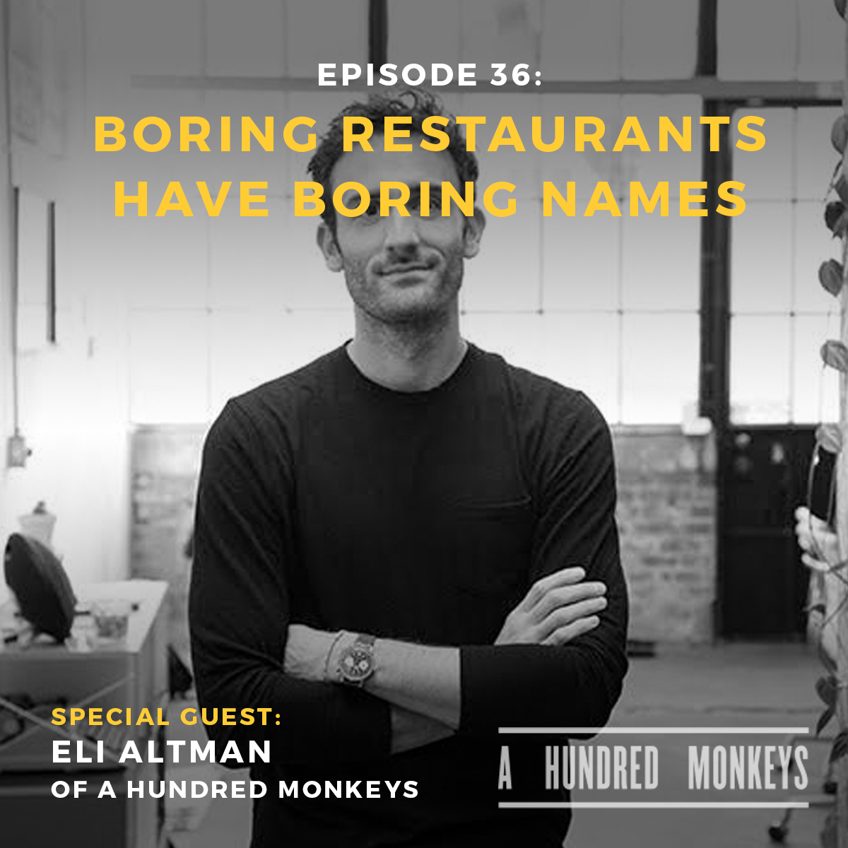 Podcast interview with naming guru Eli Altman of A Hundred Monkeys