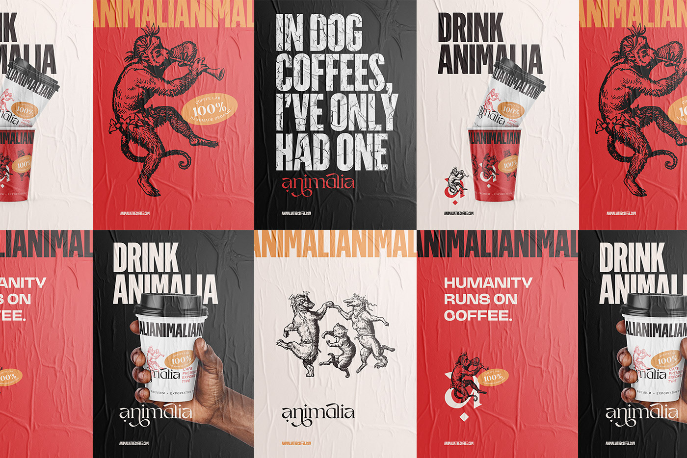 Animalia coffee branding and packaging design by Matheus Cornelius
